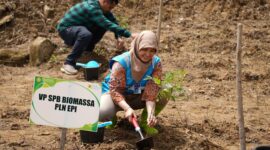 Anita Puspita Sari (Vice President Strategi Pengembangan Biomassa PLN EPI) turut mendorong biomassa menjadi pilar penting dalam peta energi nasional.