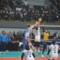 Selain laga Final PLN Mobile Proliga 2025, pertandingan perebutan tempat ketiga yang tak kalah seru juga digelar di GOR Amongrogo, Yogyakarta pada Sabtu (10/5). Pertandingan yang mempertemukan tim voli putri Gresik Petrokimia Pupuk Indonesia dengan Jakarta Electric PLN ini, dimenangkan oleh Gresik Petrokimia Pupuk Indonesia dengan skor 3-1 sekaligus memastikan posisi ketiga pada gelaran kompetisi voli tertinggi di Indonesia tersebut.