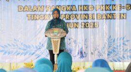 Ny Rismawati Maesyal Rasyid Ketua TP PKK Kabupaten Tangerang 