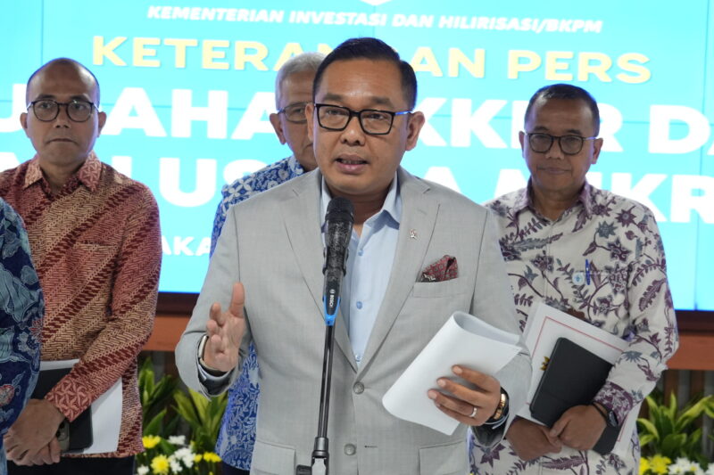 Wakil Menteri Investasi dan Hilirisasi/Wakil Kepala BKPM Todotua Pasaribu. / foto dok. BKPM