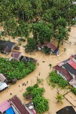 berita-rekomendasi-foto