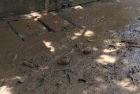 Waduh, Bupati Tangerang Kunjungi Cluster Elite Padahal Dampak Banjir Lumpur Parah Di Binong