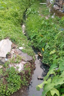 berita-rekomendasi-foto