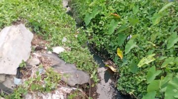 Minim Drainase dan PJU, Warga Bayur Rawa Bambu Desak Pemkab Tangerang Segera Bertindak