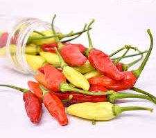 PIHPS: Harga cabai rawit merah Rp91.700/kg, daging ayam Rp39.800 kg