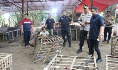 berita-pilihan-foto