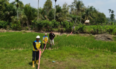 berita-pilihan-foto
