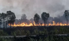 berita-pilihan-foto