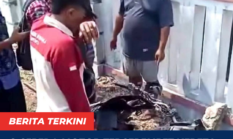 berita-pilihan-foto