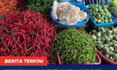 berita-pilihan-foto